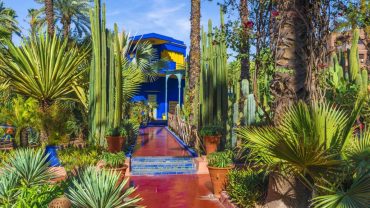 Kid-Friendly Attractions in Marrakech: The Ultimate Family Guide