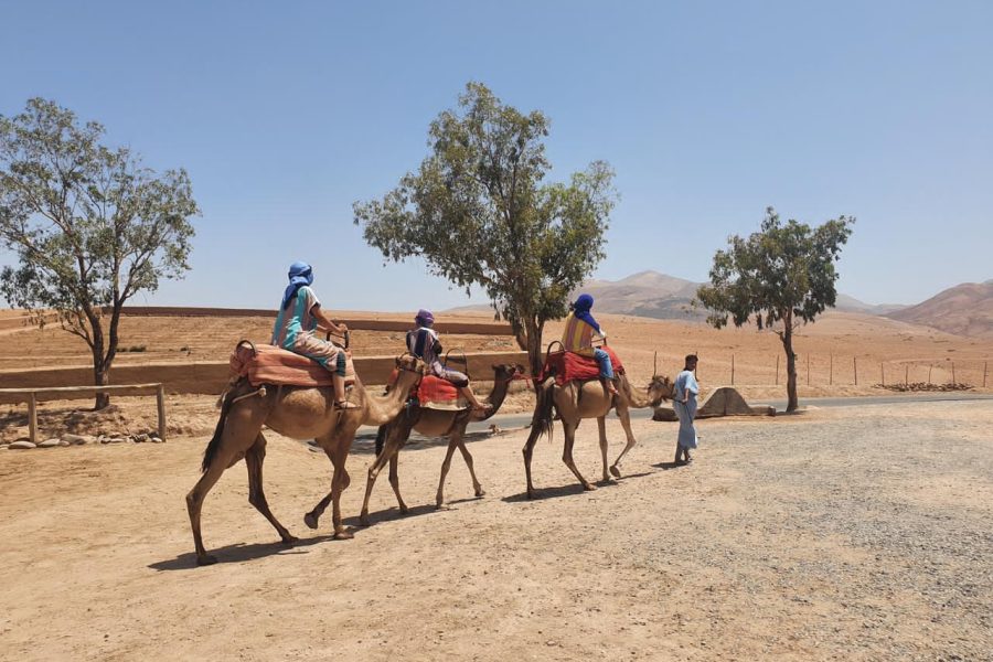 4-Day Sahara Desert Tour from Marrakech to Merzouga
