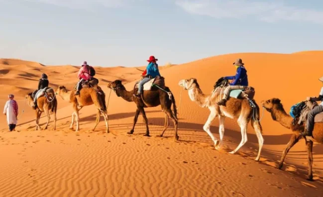 6 Day Family Desert Tour