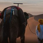 marrakech-1-300x300